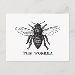 Vintage Worker Bee Illustration Art Postcard