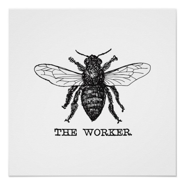 Vintage Worker Bee Illustration Art Poster (Front)