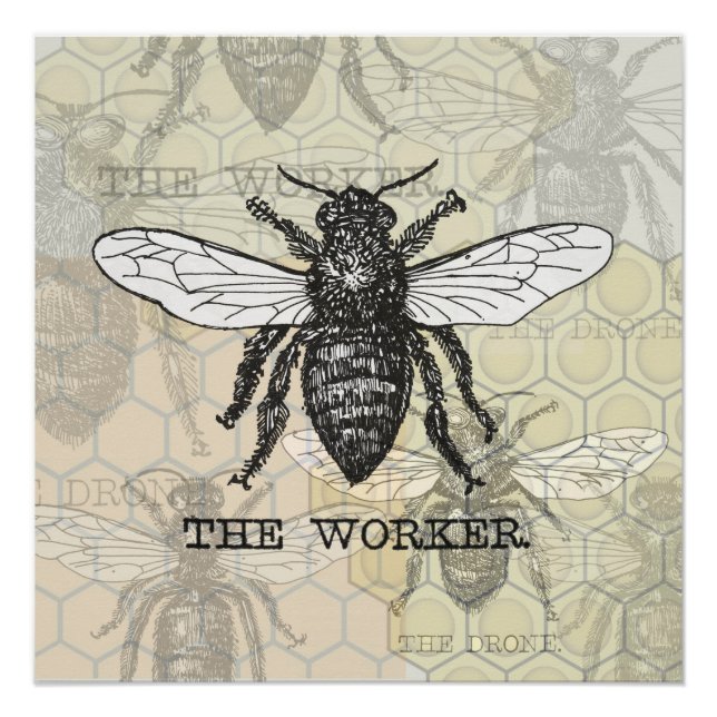 Vintage Worker Bee Illustration Art Poster (Front)
