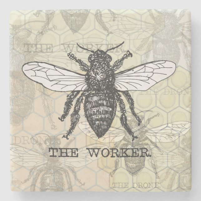 Vintage Worker Bee Illustration Art Stone Coaster (Front)