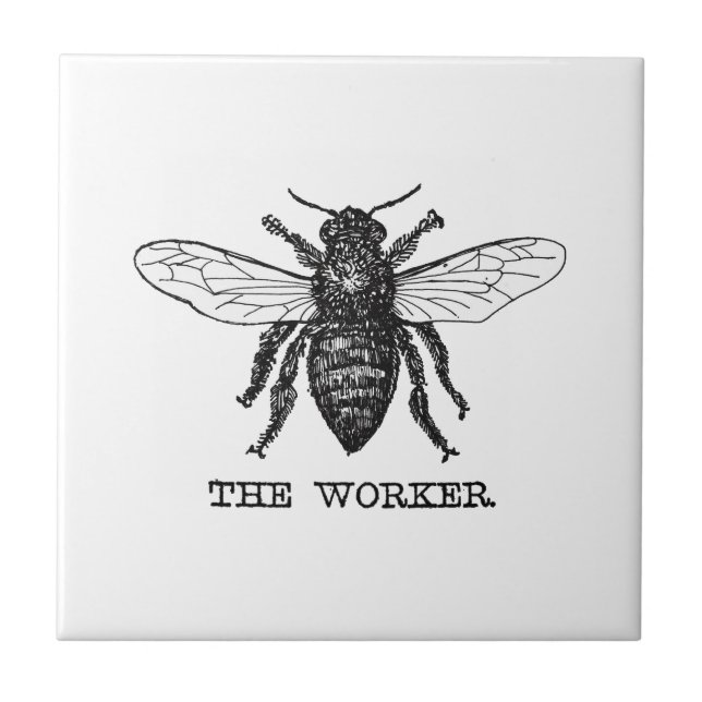 Vintage Worker Bee Illustration Art Tile (Front)