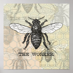 Vintage Worker Bee Illustration Poster