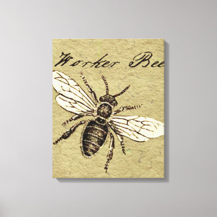 Vintage Worker Bee Insect Illustration Antique Canvas Print