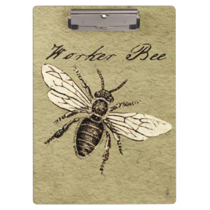 Vintage Worker Bee Insect Illustration Antique Clipboard