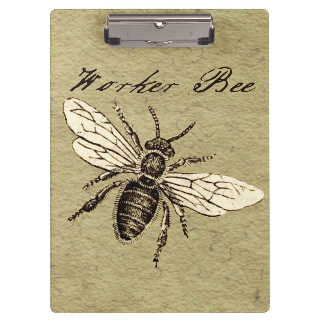 Vintage Worker Bee Insect Illustration Antique Clipboard (Front)