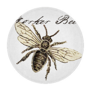 Vintage Worker Bee Insect Illustration Antique Cutting Board