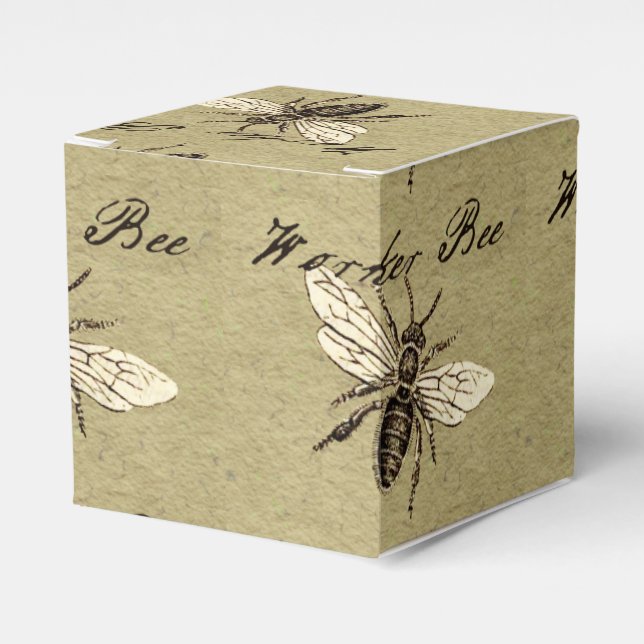 Vintage Worker Bee Insect Illustration Antique Favour Box (Front Side)