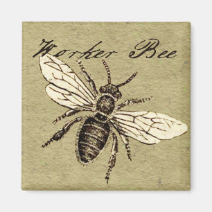 Vintage Worker Bee Insect Illustration Antique Magnet