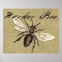 Vintage Worker Bee Insect Illustration Antique