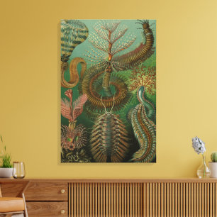 Vintage Worms Annelids Chaetopoda by Ernst Haeckel Canvas Print