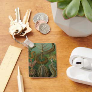 Vintage Worms Annelids Chaetopoda by Ernst Haeckel Key Ring