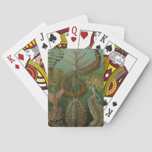 Vintage Worms Annelids Chaetopoda by Ernst Haeckel Playing Cards