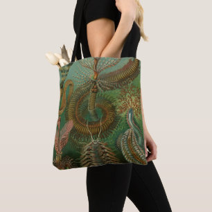 Vintage Worms Annelids Chaetopoda by Ernst Haeckel Tote Bag