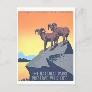 Vintage WPA Poster: Wild Life Postcard