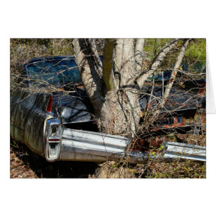 Vintage Wrecked Car Wrapped Around Tree