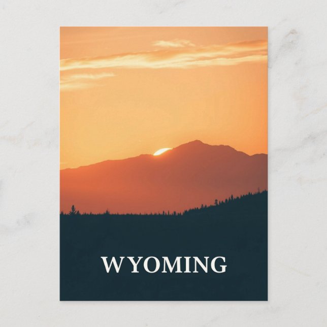 Vintage Wyoming Postcard (Front)