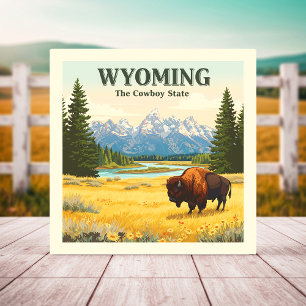  Vintage Wyoming Tile