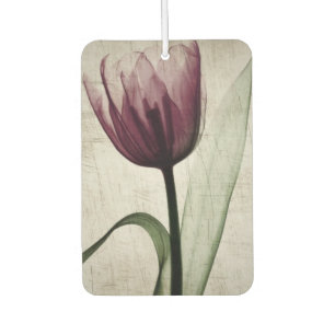 Vintage X-Ray Tulip Car Air Freshener