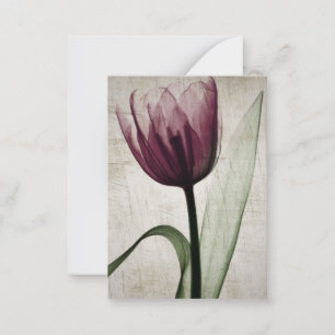 Vintage X-Ray Tulip Card