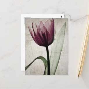 Vintage X-Ray Tulip Postcard
