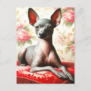 Vintage Xoloitzcuintle  Illustration Postcard
