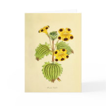 Vintage Yellow and Red Floral Illustration