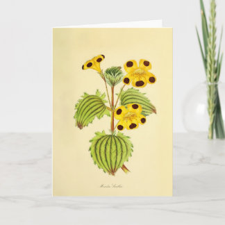 Vintage Yellow and Red Floral Illustration Card