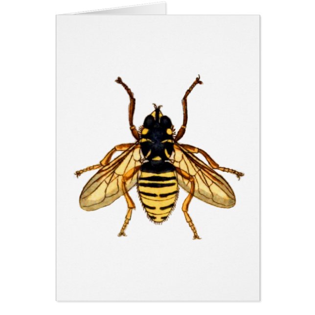 Vintage Yellow Bee (Front)