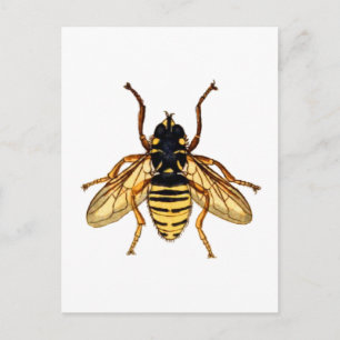 Vintage Yellow Bee Postcard