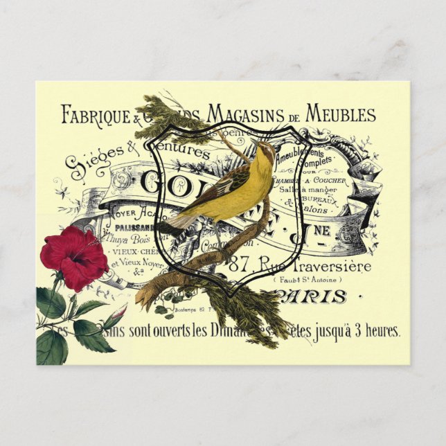 Vintage Yellow Bird Ephemera Collage Postcard (Front)