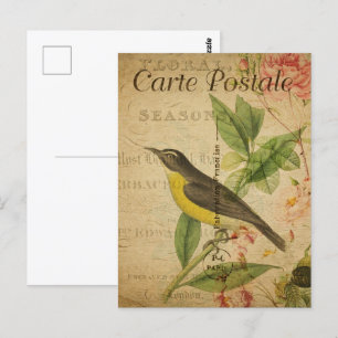 Vintage Yellow Bird Postcard