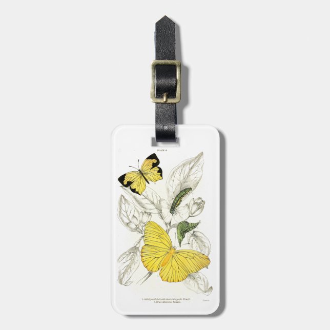 Vintage Yellow Butterflies Insects Luggage Tag (Front Vertical)