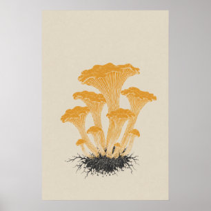 Vintage Yellow Chanterelle Mushroom Botanical Poster