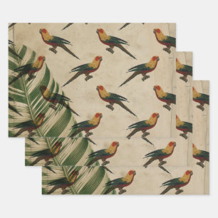 Vintage Yellow, Green and Red Birds Wrapping Paper Sheet