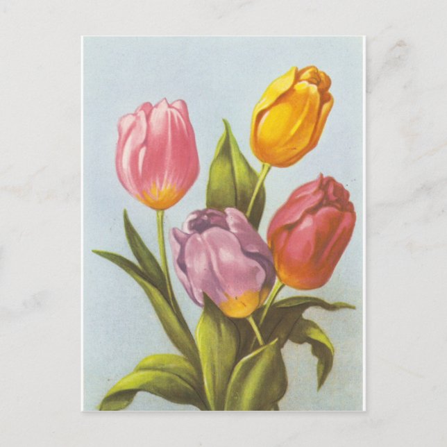 Vintage Yellow, Pink, and Purple Tulips Postcard (Front)