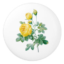 Vintage Yellow Rose Fine art