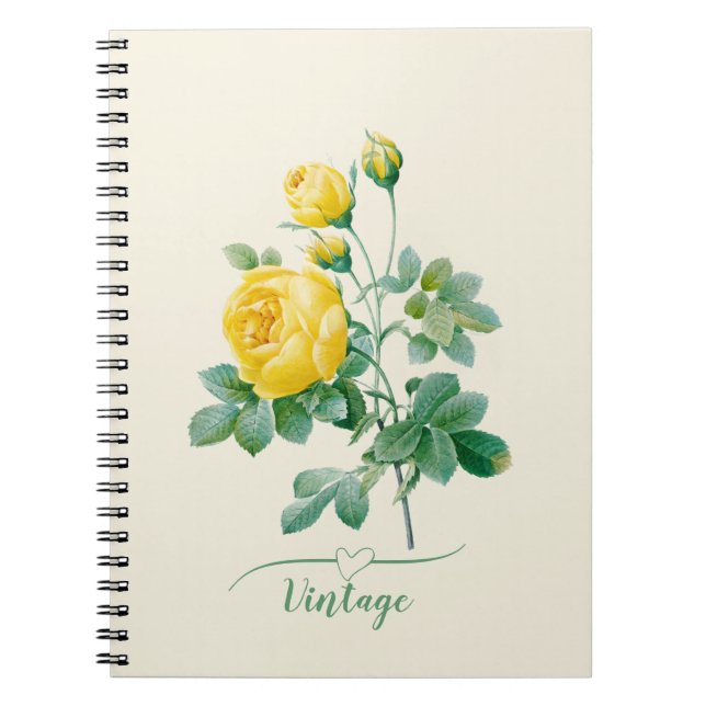 Vintage Yellow Rose Fine art  Notebook (Front)