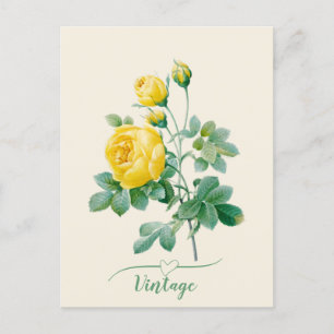 Vintage Yellow Rose Fine art Postcard