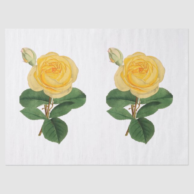Vintage Yellow Rose Flower Tissue Paper (Front)