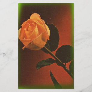Vintage Yellow Rose Stationary Stationery