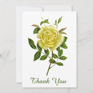 Vintage yellow rose thank you greeting card