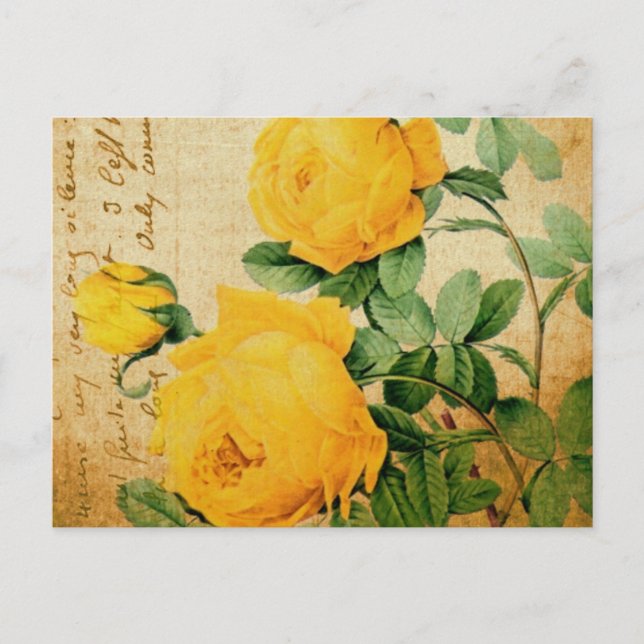 Vintage Yellow Roses Postcard (Front)