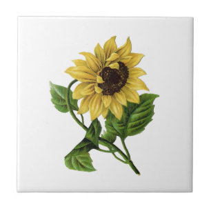 Vintage Yellow Sunflower Tile