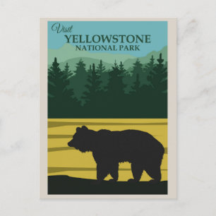 Vintage Yellowstone National Park Bear Postcard