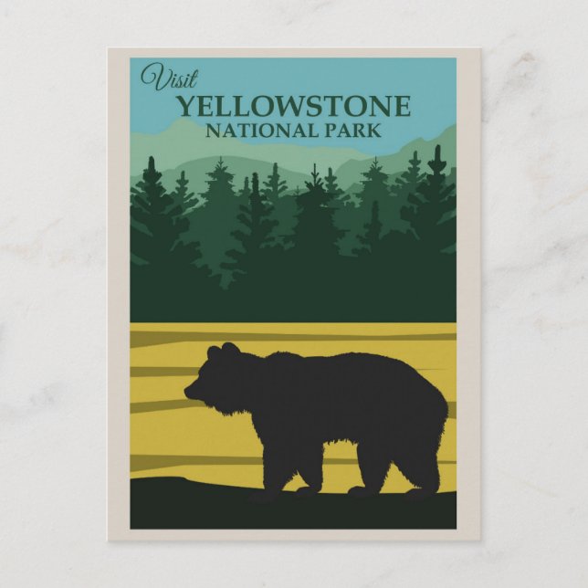 Vintage Yellowstone National Park Bear Postcard (Front)