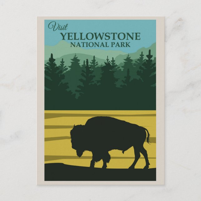 Vintage Yellowstone National Park Buffalo Postcard (Front)