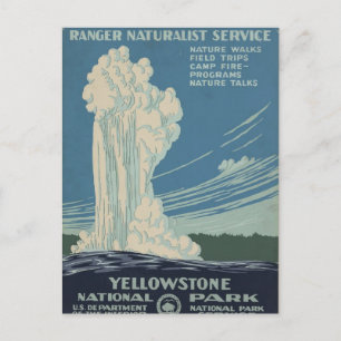 Vintage Yellowstone National Park Postcard