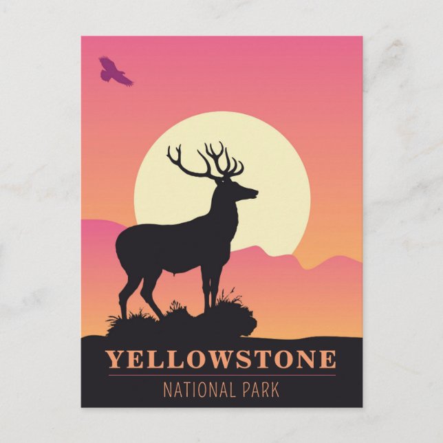 Vintage Yellowstone National Park Sunset Postcard (Front)