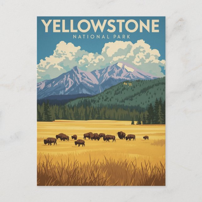 Vintage Yellowstone National Park Travel Postcard (Front)