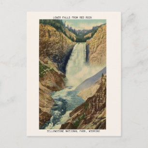 Vintage Yellowstone Postcard, Lower Falls  Postcard